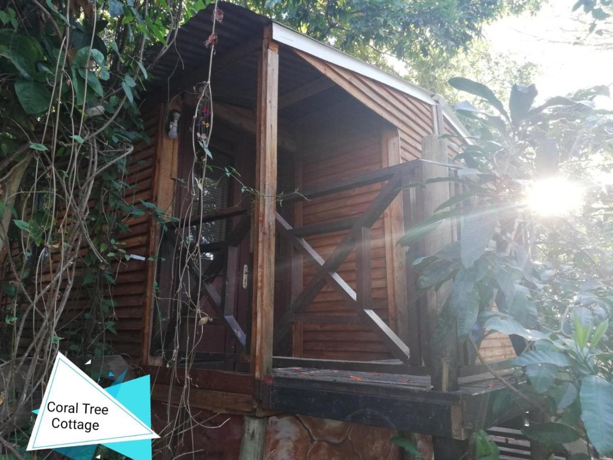 Beach Wood Cottages Shelly Beach Luaran gambar