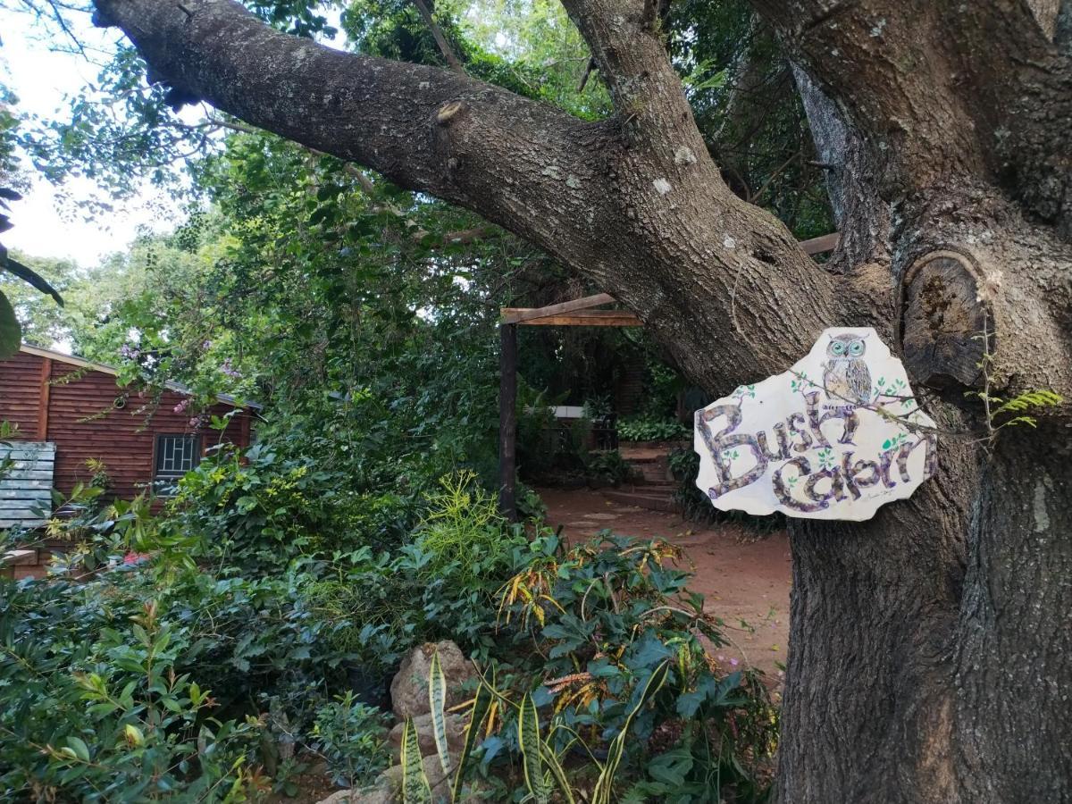 Beach Wood Cottages Shelly Beach Luaran gambar