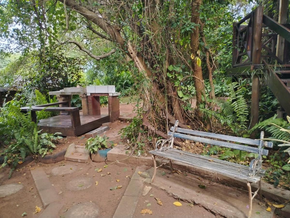 Beach Wood Cottages Shelly Beach Luaran gambar