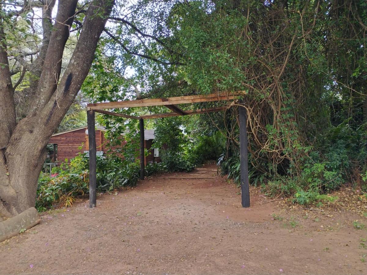 Beach Wood Cottages Shelly Beach Luaran gambar