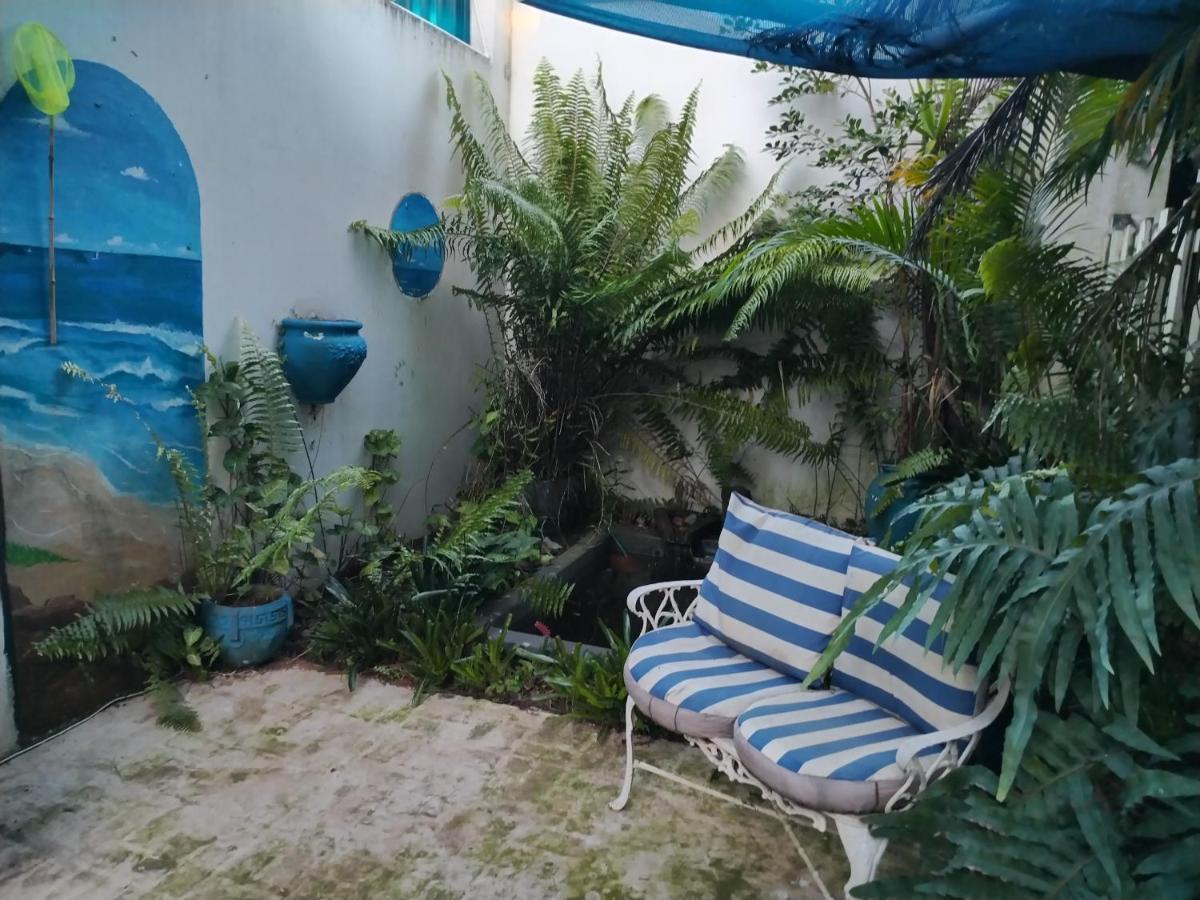 Beach Wood Cottages Shelly Beach Luaran gambar