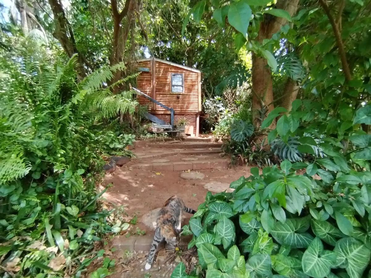 Beach Wood Cottages Shelly Beach Luaran gambar