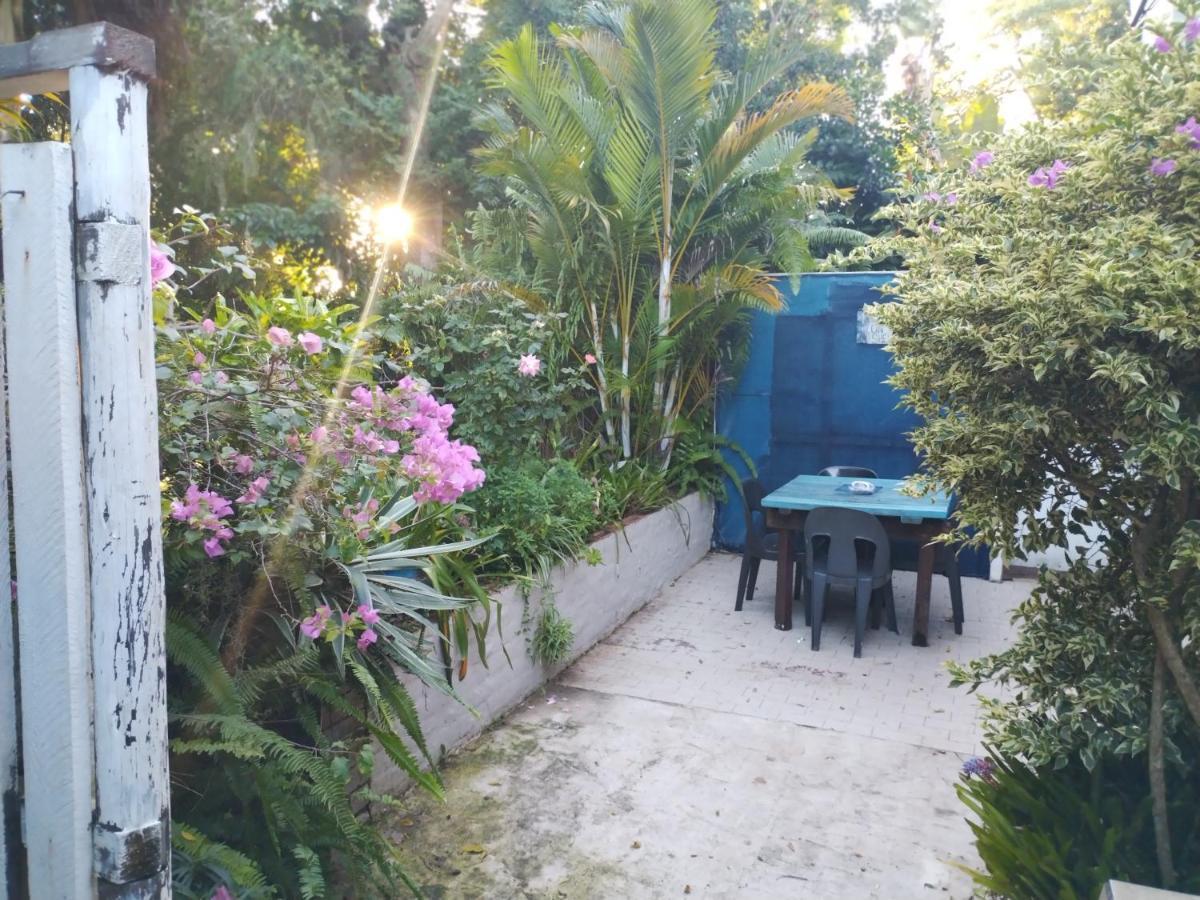 Beach Wood Cottages Shelly Beach Luaran gambar