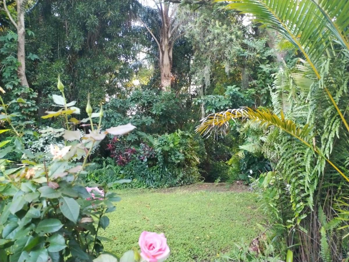 Beach Wood Cottages Shelly Beach Luaran gambar