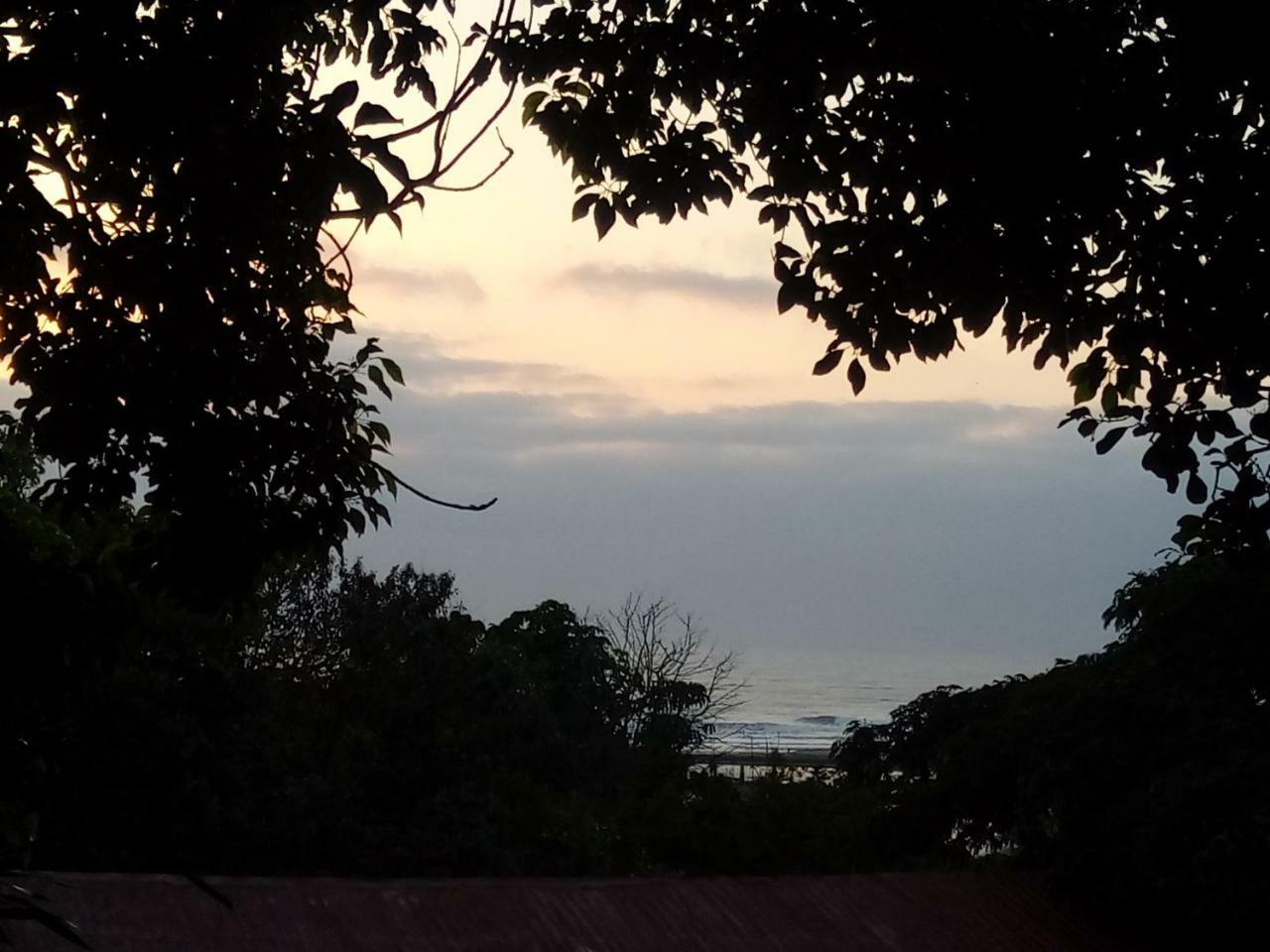 Beach Wood Cottages Shelly Beach Luaran gambar