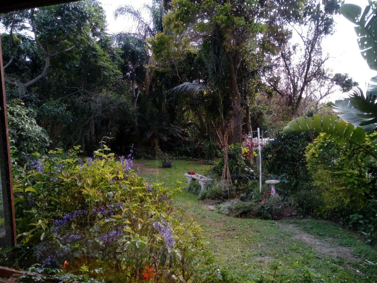 Beach Wood Cottages Shelly Beach Luaran gambar