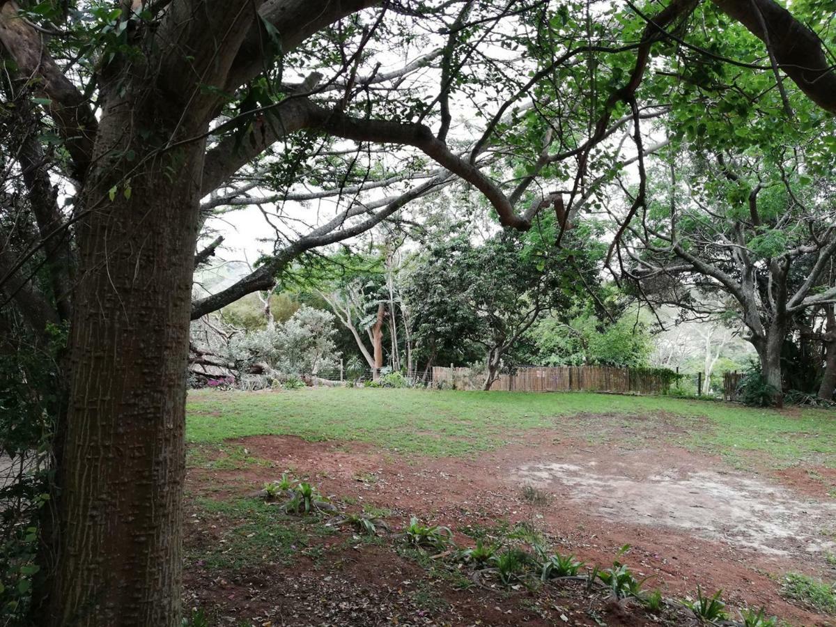 Beach Wood Cottages Shelly Beach Luaran gambar