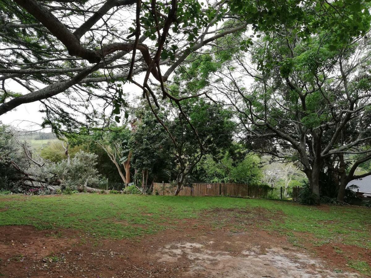Beach Wood Cottages Shelly Beach Luaran gambar