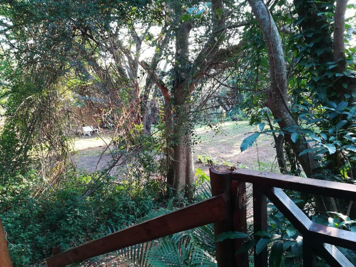 Beach Wood Cottages Shelly Beach Luaran gambar
