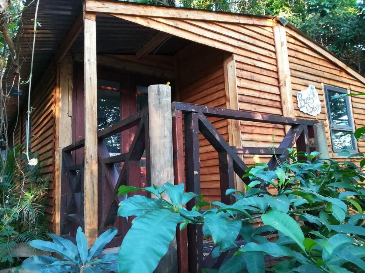 Beach Wood Cottages Shelly Beach Luaran gambar